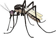 Засоби від комарів оптом