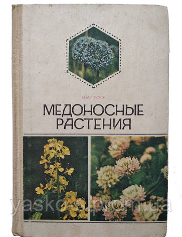 Медоносні рослини, фото 2