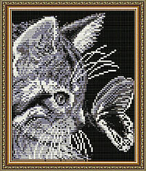 Алмазна вишивка 200х246 мм — набір "Кіт із метеликом"