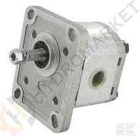 Шестеренный насос CASAPPA серия POLARIS PLP2024S001S1 Gear Pump PLP20.24,5S0-01S1-LMM/MB-N-EL