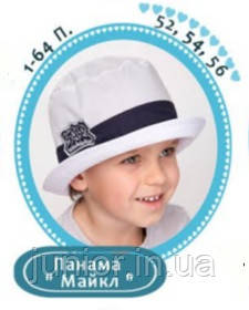 Річна панама челентанка для хлопчика.Бавовна.