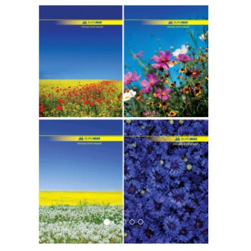 Канцелярська книга А4 BUROMAX 2400 тв. обкл. 96арк. клітинка (1/8)