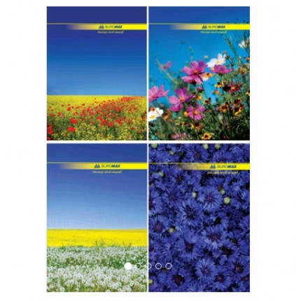 Канцелярська книга А4 BUROMAX 2400 тв. обкл. 96арк. клітинка (1/8), фото 1