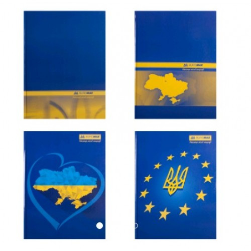 Канцелярська книга А4 BUROMAX 2404 тв. обкл. 192арк. клітинка оф. (1/4)