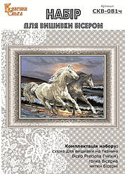 Набір для вишивки бісером Галопом по хвилях. Арт. ВКВ-81ч