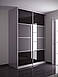 Двері розсувні для шафи-купе Крашене скло RAL з перемичками, фото 3