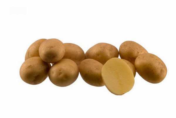 Запобігання весна 2022-Картофель насінної Мадлен 1 репродукція, 20 кг