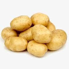 Картопля насіння Констанс, середньоранній 1 репродукція, 2 кг, фото 2