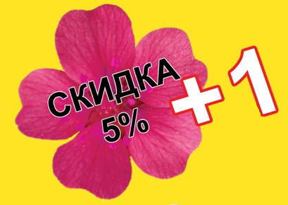 Знижка 6% на электрокраскопульты Wagner