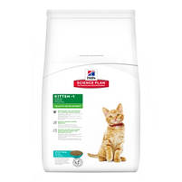 Hill's SP Kitten Tuna корм для кошенят із тунцем, 300 г, фото 2