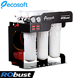 Зворотний осмос Ecosoft RObust 1000, фото 3