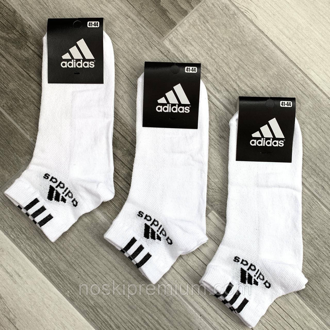 Шкарпетки чоловічі спортивні х/б з сіткою Adidas Athletic, розмір 41-44, короткі, білі, 12602