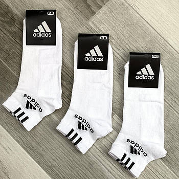Шкарпетки чоловічі спортивні х/б з сіткою Adidas Athletic, розмір 41-44, короткі, білі, 12602