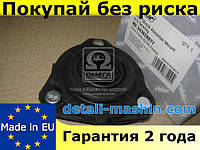 Опора аморт. FORD FIESTA 02-08, FUSION передн. без подш. (RIDER)