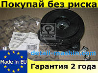 Опора аморт. FORD FIESTA 02-08, FUSION передн. с подш. (RIDER)