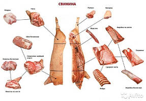 Свинина