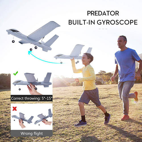Z51 Predator 2.4 Ghz RTF