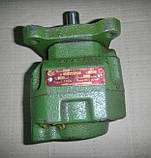 Насос Г12-31М Г12-32М Г12-33М Г12-31АМ Г12-32АМ Г12-33АМ, фото 5