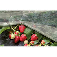 Агроволокно біле Agreen 23 4.2*50м