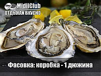 Живі устриці Фін де Клер, №3 (мінімальне замовлення від 24шт)