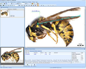 BioAnalyze Basic