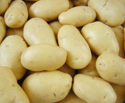 Картопля насінню Ероу, середньорань 1 репродукція, 10 кг