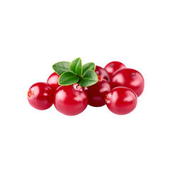 Журавлина сублімована