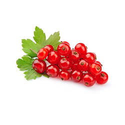 Смородина червона сублімована