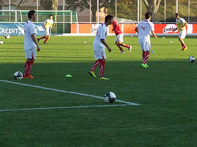 Штучне покриття TRIO SPINE 40mm для футболу