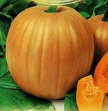 Насіння пізнього гарбуза Вітамінне 2 г., фото 2