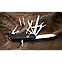Victorinox 0.9043.3 Ніж чорний нейлон, фото 3