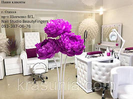 Педикюрное кресло Трон Queen, Стул для мастера педикюра  2118, Стул мастера Queen, Маникюрный стол Queen 8