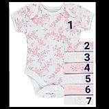 Гарні боді з коротким рукавом George 18-24 міс, поштучно!, фото 7