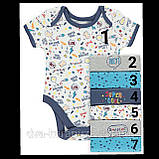 Гарні боді з коротким рукавом George 9-12 міс, поштучно!, фото 7