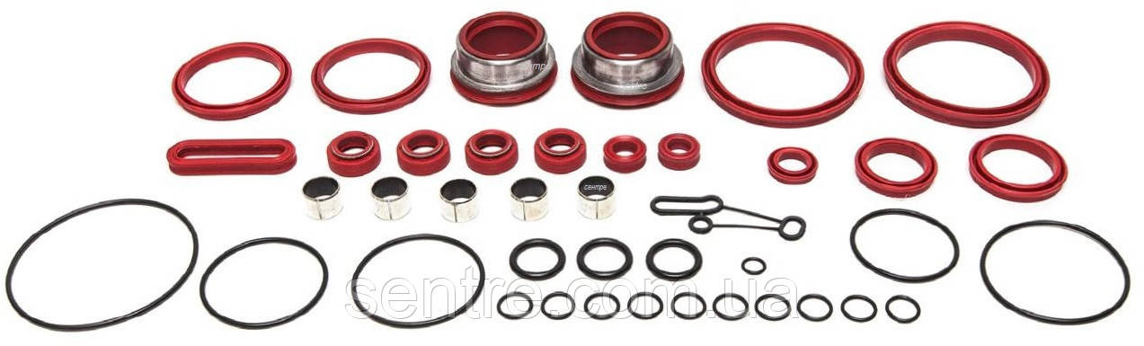 Ремкомплект клапанів ZF ASTRONIC 4213550120, 6009297007, WACH-MOT WT/WSK.21.6