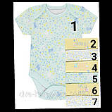 Гарні боді з коротким рукавом George 18-24 міс, поштучно!, фото 7