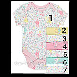 Гарні боді з коротким рукавом George 12-18 міс, поштучно!, фото 7