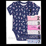 Гарні боді з коротким рукавом George 3-6 міс, поштучно!, фото 8