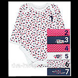 Гарний бодик із довгим рукавом George, 3-6 міс, поштучно!, фото 7