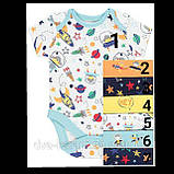 Гарні боді з коротким рукавом George 9-12 міс, поштучно!, фото 7