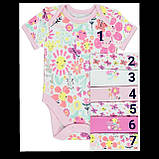 Гарні боді з коротким рукавом George 12-18 міс, поштучно!, фото 6