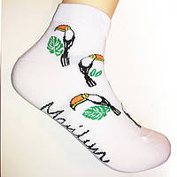 Шкарпетки бавовняні з малюнком Footies Tukan 1