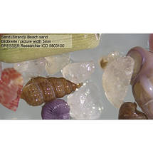 Мікроскоп професійний навчальний Bresser Researcher ICD LED 20x-80x, фото 5