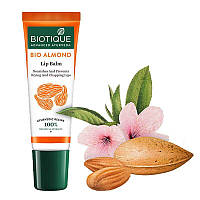 Бальзам для губ Миндаль 10г. тюбик, Biotique Bio Almond Lip Balm, Аюрведа Здесь