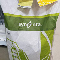 Горох ПРЕЛАДО Syngenta 100 г