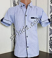 Стильна сорочка(шведка) для хлопчика 6-11 років(роздр) (блакитна) (пр. Туреччина)