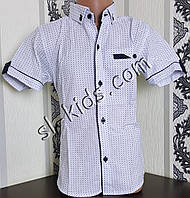 Стильна сорочка(шведка) для хлопчика 6-11 років(роздр) (біла) (пр. Туреччина)