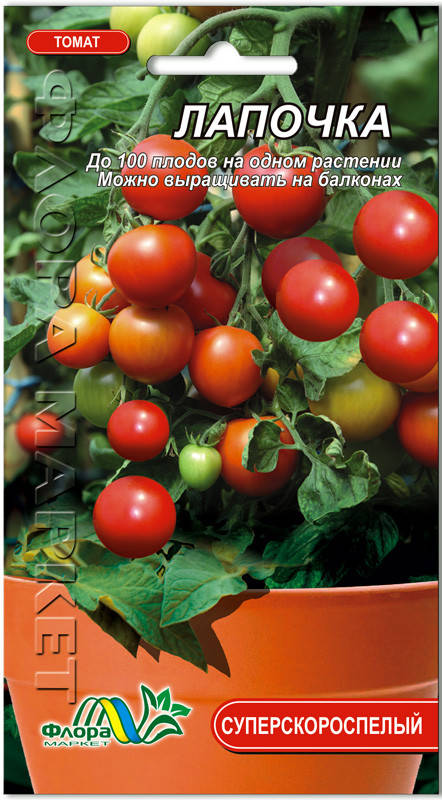 

Томат Лапочка