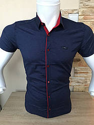 СЕЗОННИЙ РОЗПРОДАЖ! Теніска Paul Sergio з принтом