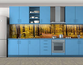 Наклейка на кухонний фартух 60 х 300 см, з фотодруком та захисною ламінацією лісова дорога (БП-s_pr063), фото 3